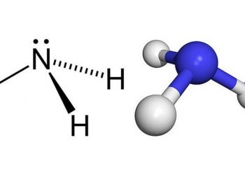Khái niệm của đồng phân và những thông tin trọng điểm