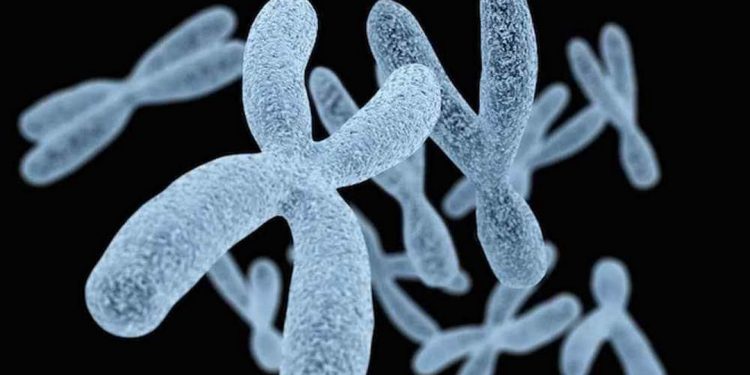 Các thông tin cơ bản liên quan đến Gen là gì?