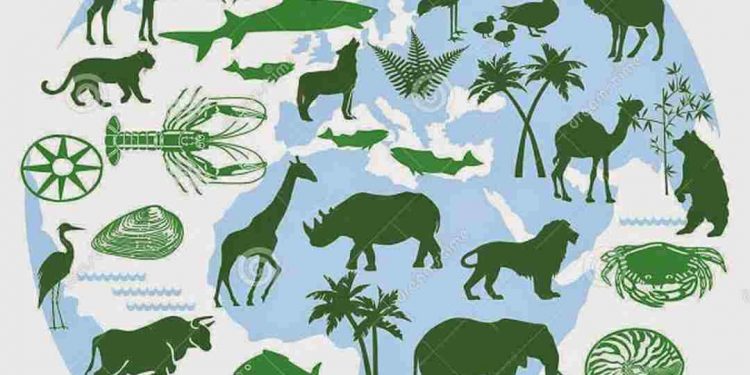 Hệ sinh thái gồm rất nhiều loài sinh vật khác nhau