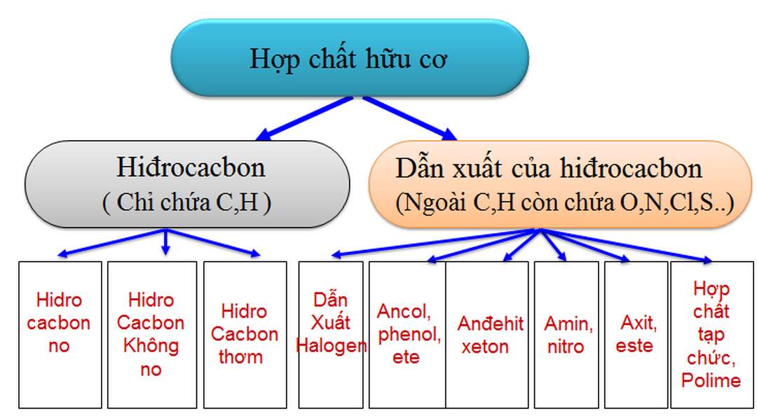 Phân loại hợp chất hữu cơ như thế nào cho chuẩn nhất?