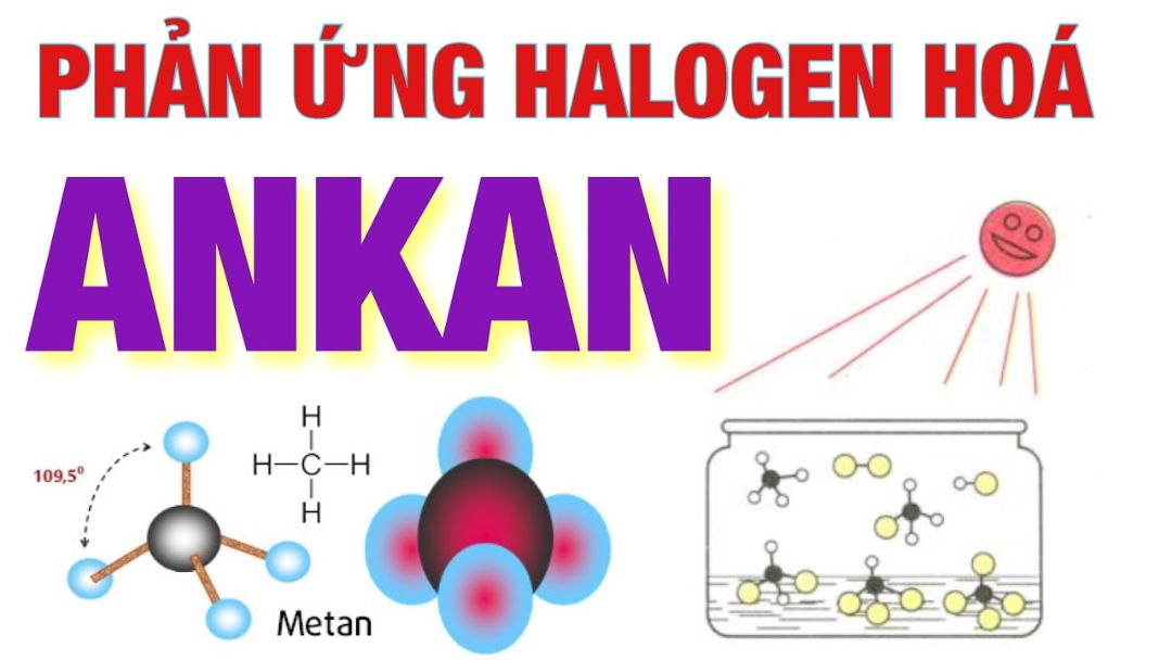 Phản ứng Halogen của Ankan là kiến thức cực kỳ quan trọng 