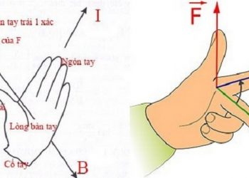 Giới thiệu đôi nét về quy tắc bàn tay trái