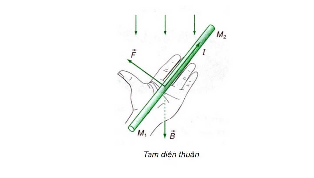 Cách áp dụng quy tắc bàn tay trái như thế nào