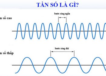 Khái quát những nét chung về tần số