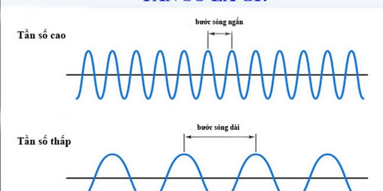 Khái quát những nét chung về tần số