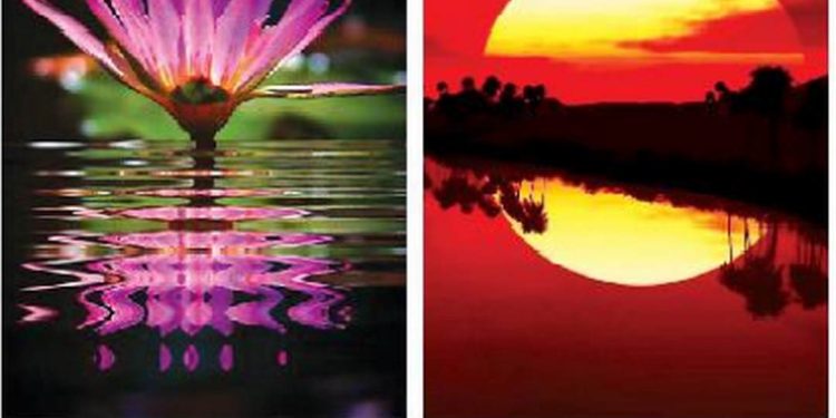 Mắt người không thể nhìn thấy tất cả các tia sáng của quang phổ