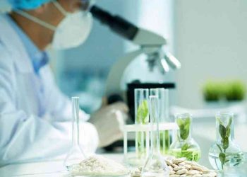 Công nghệ vi sinh phát triển mang đến cho con người những sản phẩm sạch, tốt cho sức khỏe và thân thiện với môi trường