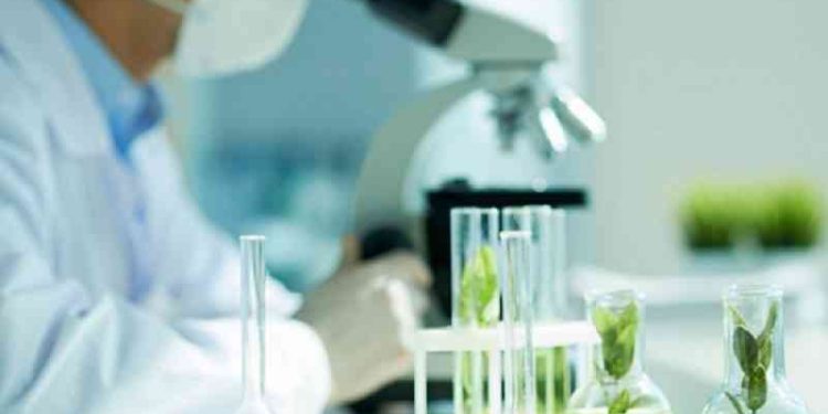 Công nghệ vi sinh phát triển mang đến cho con người những sản phẩm sạch, tốt cho sức khỏe và thân thiện với môi trường