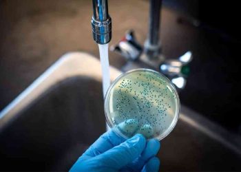 Vi sinh vật trong nước uống thường gây hại