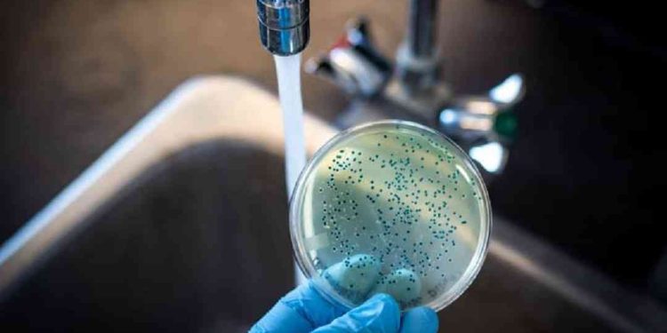 Vi sinh vật trong nước uống thường gây hại