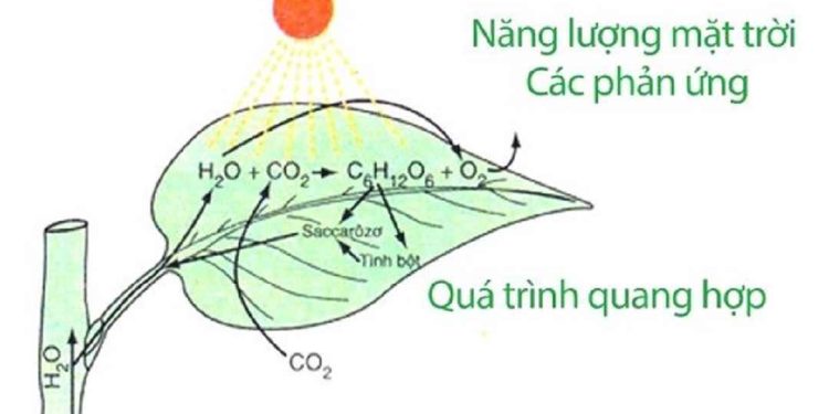 Dấu hiệu nhận biết phản ứng oxi hóa khử là gì?