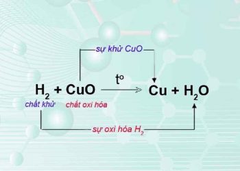 Các phản ứng oxi hóa khử
