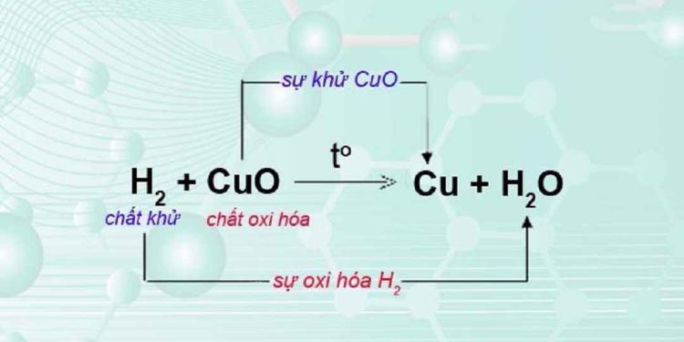 Các phản ứng oxi hóa khử