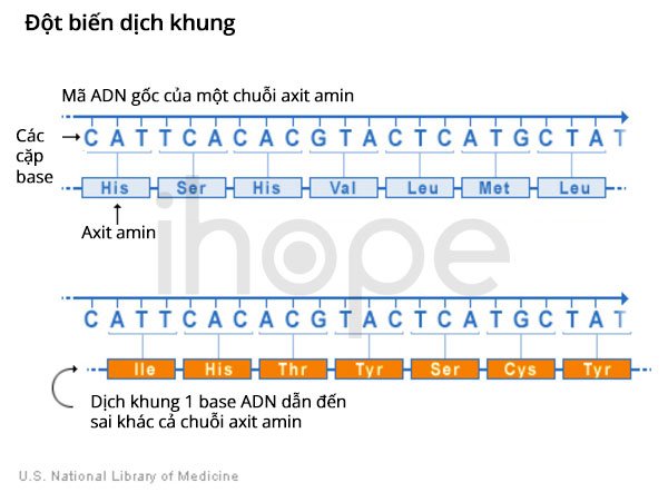 Đột biến dịch khung