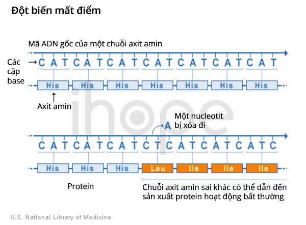 Đột biến mất điểm