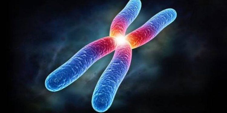 Nhiễm sắc thể và các loại bệnh liên quan