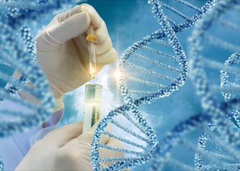 Tại sao Gen là chức năng chính của cơ thể?