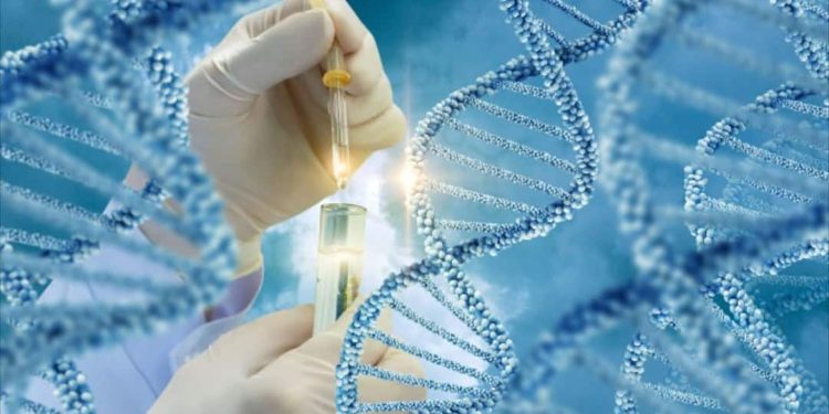 Tại sao Gen là chức năng chính của cơ thể?