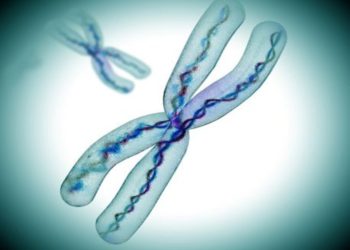 Phân Loại Nhiễm Sắc Thể và Cách Phòng Ngừa