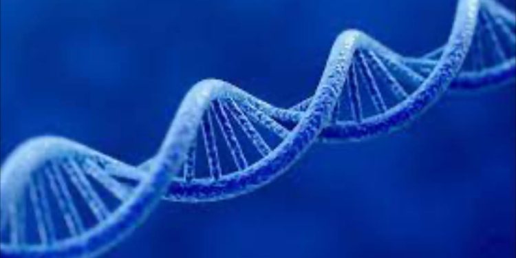 Các bước trong Quá trình biểu hiện của Gen