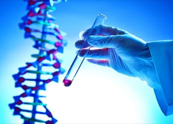 Những cách khác nhau của Gen trong việc hỗ trợ sự phát triển của con người