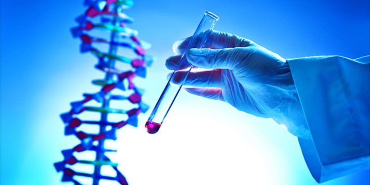 Những cách khác nhau của Gen trong việc hỗ trợ sự phát triển của con người