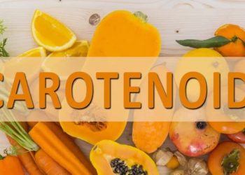 Các Phân Loại Carotenoit trong Quang Tổng Hợp