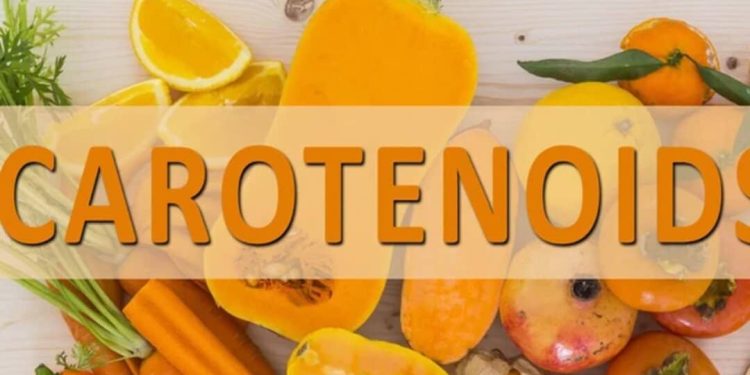 Các Phân Loại Carotenoit trong Quang Tổng Hợp