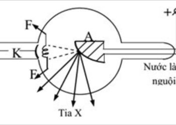 Cấu tạo cơ bản của Tia X: Độ dài, độ rộng và hình dạng