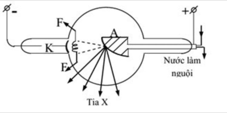 Cấu tạo cơ bản của Tia X: Độ dài, độ rộng và hình dạng