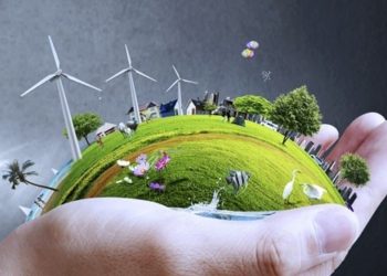 Tại sao Quang Hợp là quan trọng với Cây Xanh và Con Người?