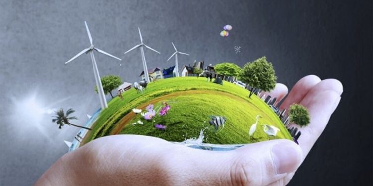 Tại sao Quang Hợp là quan trọng với Cây Xanh và Con Người?